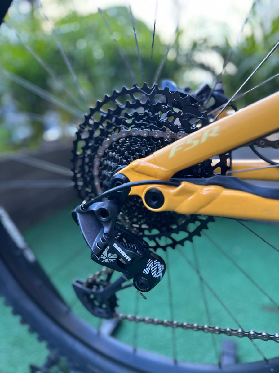 specialized rin 29