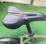 BICICLETA BORANA ELECTRICA