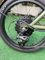 BICICLETA BORANA ELECTRICA