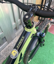 BICICLETA GIANT STANCE