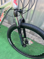 BICICLETA GW ALLIGATOR