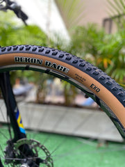 BICICLETA GIANT ANTHEM