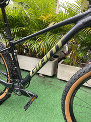 BICICLETA GIANT FATHOM