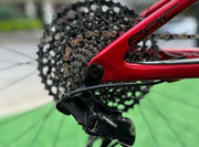 SPECIALIZED EPIC EXPERT