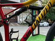 SPECIALIZED EPIC EXPERT