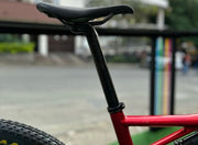 SPECIALIZED EPIC EXPERT