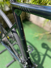 BICICLETA GW LETRAS EN CARBONO