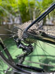 BICICLETA CANYON ENDURANCE CF SL