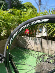 BICICLETA CANYON ENDURANCE CF SL