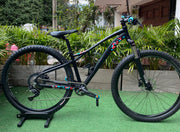 BICICLETA GW OWL