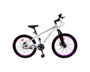 BICICLETA PROFIT NICE RIN 20