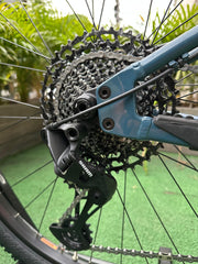 BICICLETA SANTA CRUZ CHAMALEON