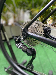 BICICLETA GIANT TCR 2