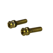 TORNILLO M5X17MM ESPIGA/T-CAÑA