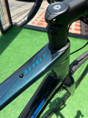 BICICLETA GIANT REVOLT