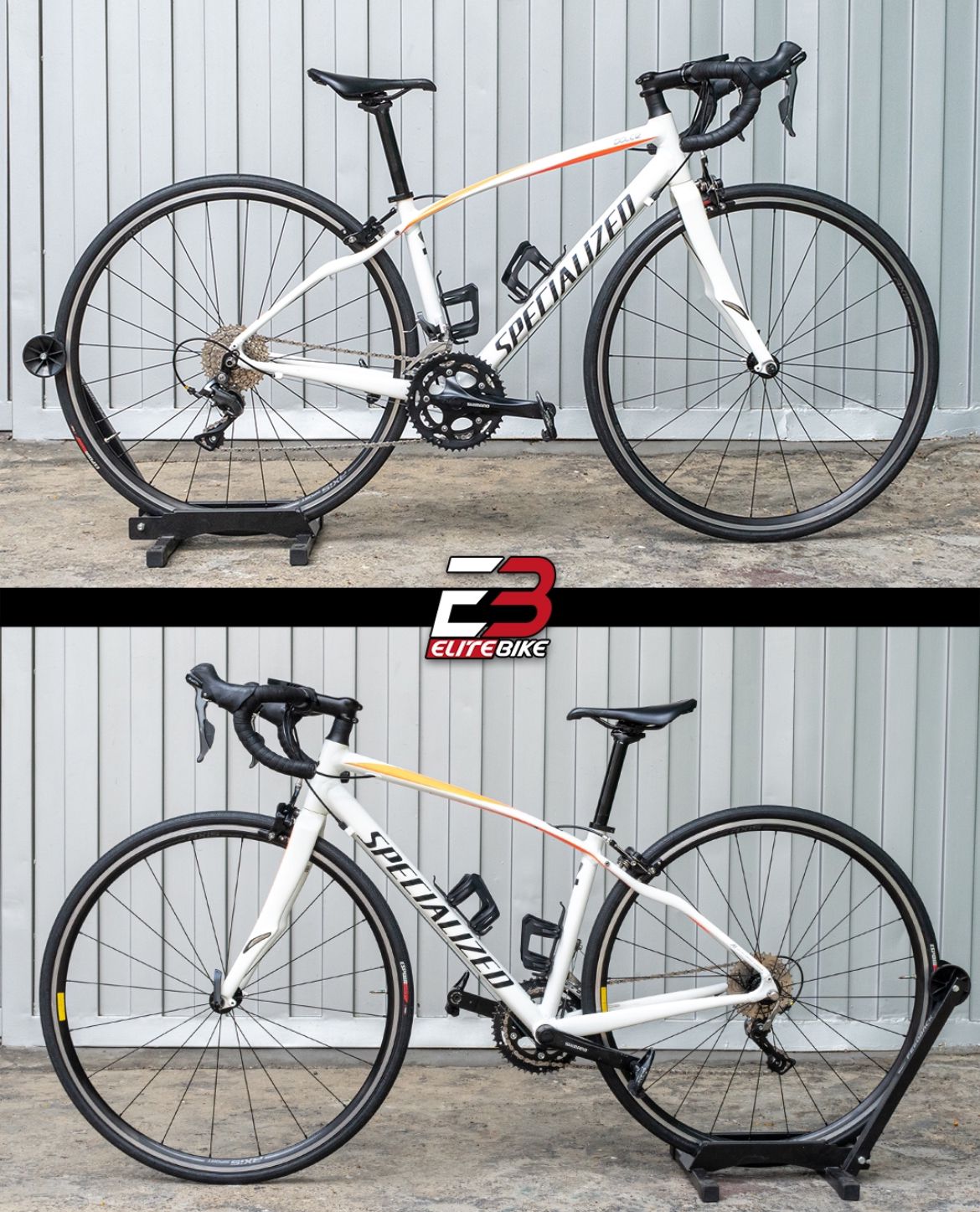 SPECIALIZED DOLCE