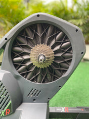 SIMULADOR ELITE DIRETO XR